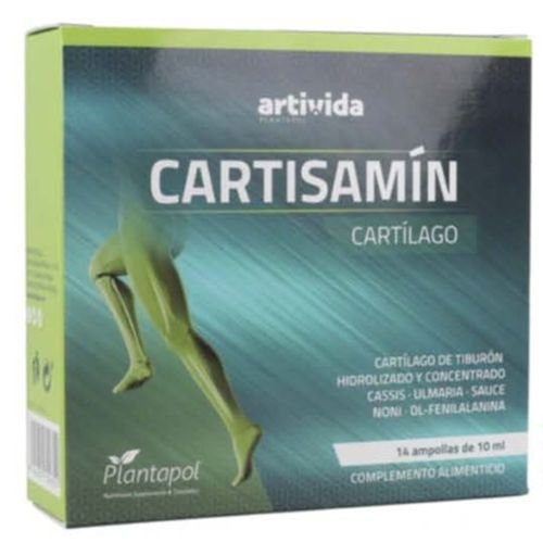 Casrtisamín